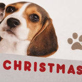 A close-up of a dog's face with the word "Christmas" written below it.