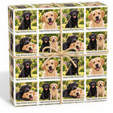 A gift box with a brown twine bow tied around it, containing multiple identical images of two dogs, one black and one tan, sitting together in a field.
