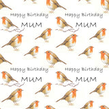 Robin Personalised Birthday Wrapping Paper