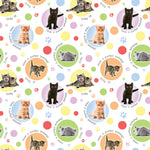 Kittens Personalised Birthday Wrapping Paper
